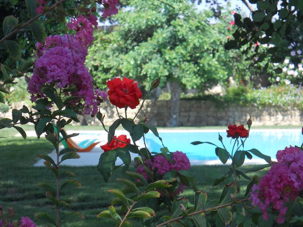 Il Giardino Dei Carrubi Villa Donnalucata  Ruang foto