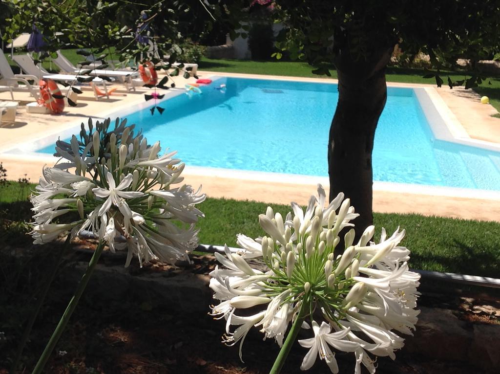 Il Giardino Dei Carrubi Villa Donnalucata  Bagian luar foto